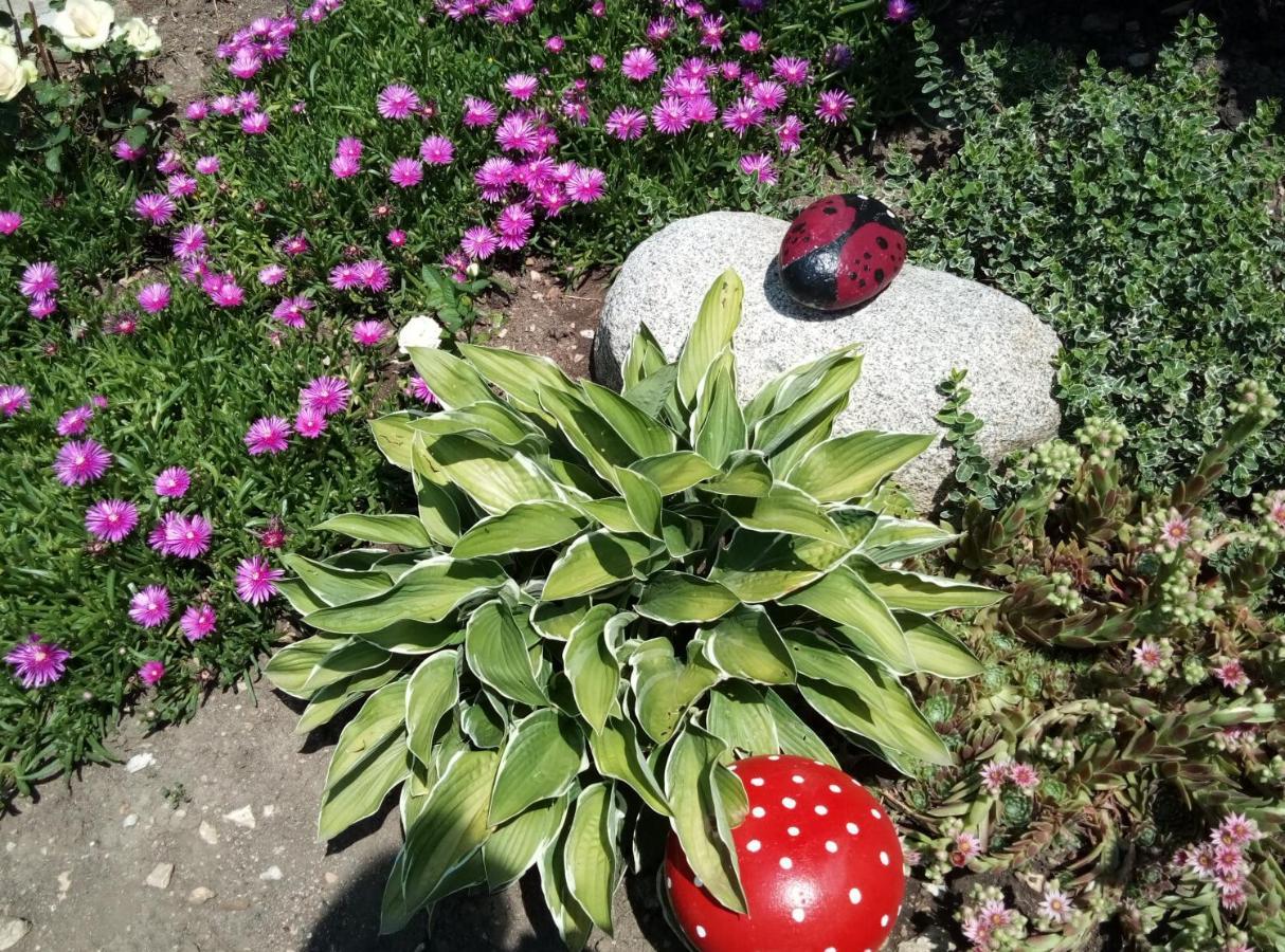 Pensiune Milka Iagodina